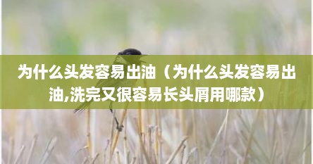 为什么头发容易出油（为什么头发容易出油,洗完又很容易长头屑用哪款）