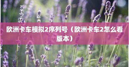 欧洲卡车模拟2序列号（欧洲卡车2怎么看版本）