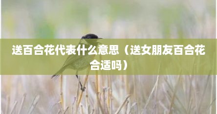 送百合花代表什么意思（送女朋友百合花合适吗）