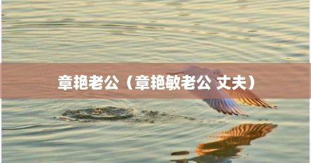 章艳老公（章艳敏老公 丈夫）