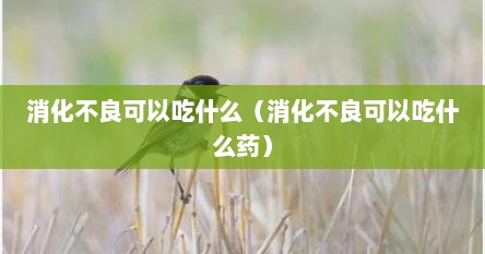 消化不良可以吃什么易消化的食物（消化不良可以吃什么饮料或者水）