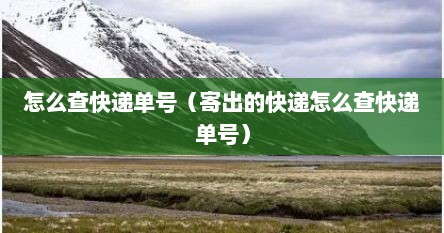 怎样查快递单号查询快递到哪了（怎么查快递的单号查询）