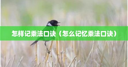 怎样记乘法口诀（怎么记忆乘法口诀）