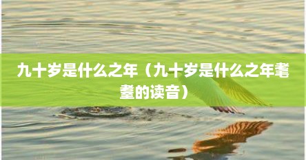 九十岁是什么之年（九十岁是什么之年耄耋的读音）