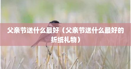 父亲节送什么最好（父亲节送什么最好的折纸礼物）