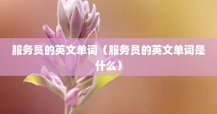 服务员的英文单词（服务员的英文单词是什么）