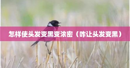 怎样使头发变黑变浓密（咋让头发变黑）