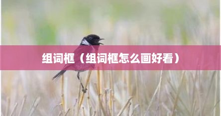 框如何组词（框的组词组）