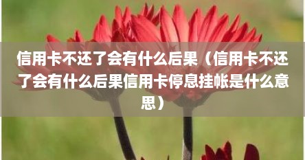 信用卡不还了会有什么后果（信用卡不还了会有什么后果信用卡停息挂帐是什么意思）