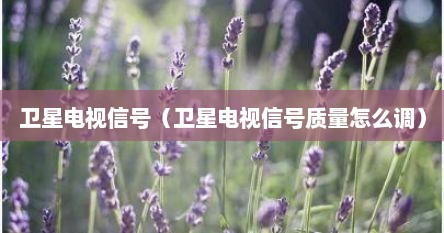 卫星电视信号（卫星电视信号质量怎么调）