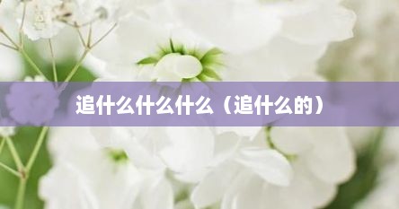 追什么什么什么（追什么的）