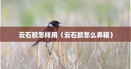 云石胶怎样用（云石胶怎么弄稀）