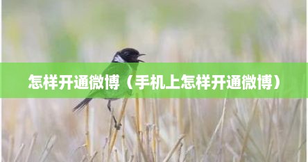 怎样开通微博（手机上怎样开通微博）