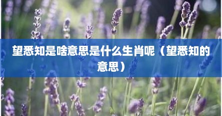 望悉知是啥意思是什么生肖呢（望悉知的意思）