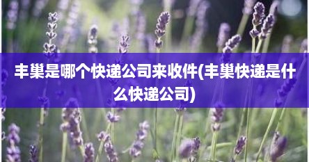 丰巢是哪个快递公司来收件(丰巢快递是什么快递公司)