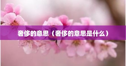 奢侈的意思（奢侈的意思是什么）
