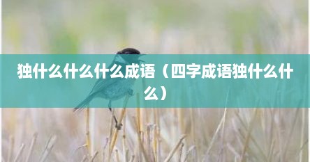 独什么什么什么成语（四字成语独什么什么）