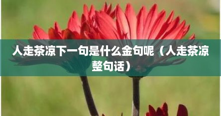 人走茶凉下一句是什么金句呢（人走茶凉整句话）
