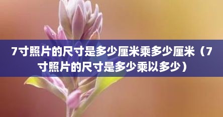 7寸照片的尺寸是多少厘米乘多少厘米（7寸照片的尺寸是多少乘以多少）