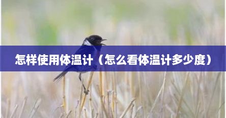 怎样使用体温计（怎么看体温计多少度）