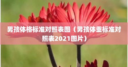男孩体格标准对照表图（男孩体重标准对照表2021图片）