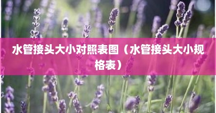 水管接头大小通用（不锈钢拉伸水管接头螺纹规格）