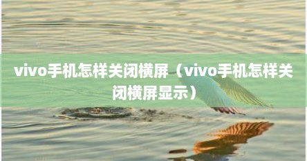 vivo手机怎样关闭横屏（vivo手机怎样关闭横屏显示）