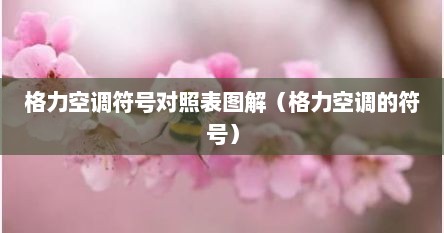 格力空调符号对照表图解（格力空调的符号）