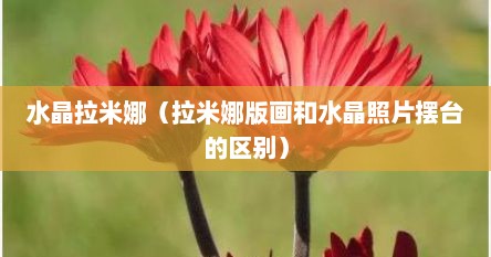 水晶拉米娜（拉米娜版画和水晶照片摆台的区别）