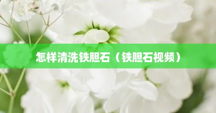 怎样清洗铁胆石（铁胆石视频）