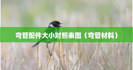 弯管配件大小对照表图（弯管材料）