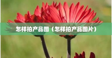 怎样拍产品图（怎样拍产品图片）