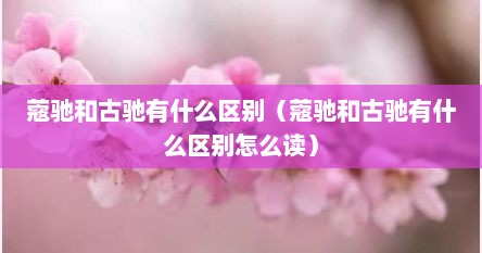 蔻驰和古驰有什么区别（蔻驰和古驰有什么区别怎么读）
