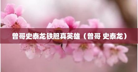曾哥史泰龙铁胆真英雄（曾哥 史泰龙）