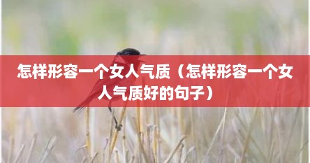 怎样形容一个女人气质（怎样形容一个女人气质好的句子）