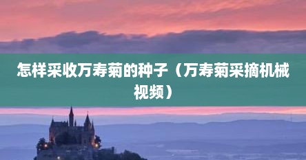 怎样采收万寿菊的种子（万寿菊采摘机械视频）