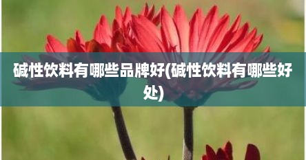 碱性饮料有哪些品牌好(碱性饮料有哪些好处)
