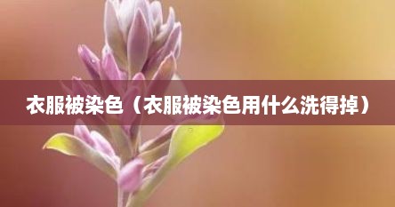 衣服被染色了用什么洗得掉（衣服被染色了用什么药水洗）