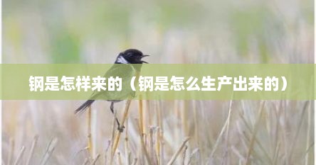 钢是怎样来的（钢是怎么生产出来的）