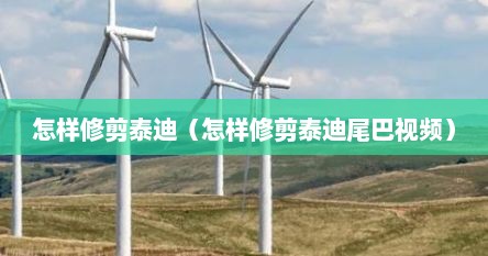 怎样修剪泰迪（怎样修剪泰迪尾巴视频）