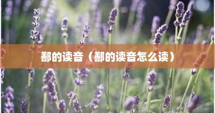 鄯的读音（鄯的读音怎么读）