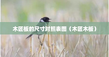 木匠板的尺寸对照表图（木匠木板）