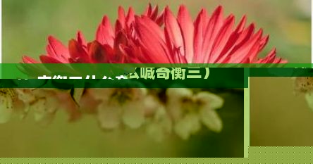 奇衡三什么意思（为什么喊奇衡三）