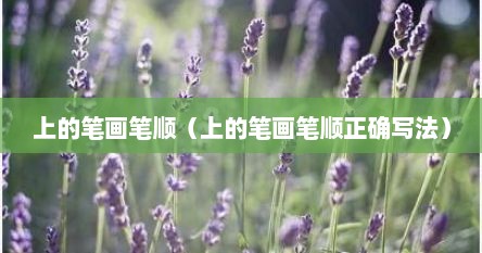 上的笔画笔顺（上的笔画笔顺正确写法）