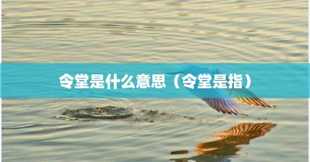 令堂是什么意思（令堂令尊是什么意思）