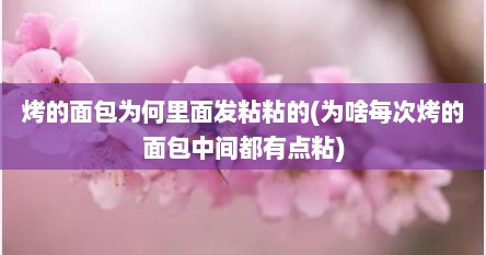 烤的面包为何里面发粘粘的(为啥每次烤的面包中间都有点粘)