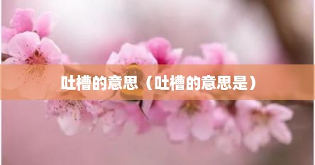 吐槽的意思（吐槽的意思是）
