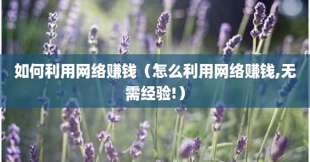 如何利用网络赚钱（怎么利用网络赚钱,无需经验!）