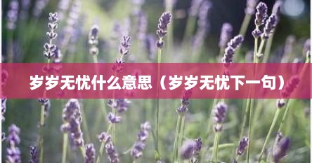 岁岁无忧什么意思（岁岁无忧下一句）