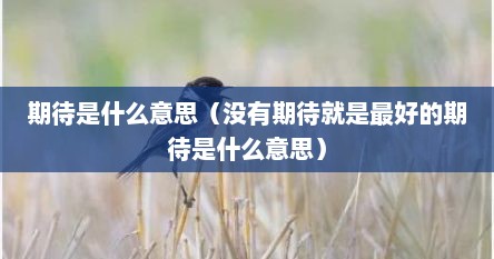 期待是什么意思（没有期待就是最好的期待是什么意思）